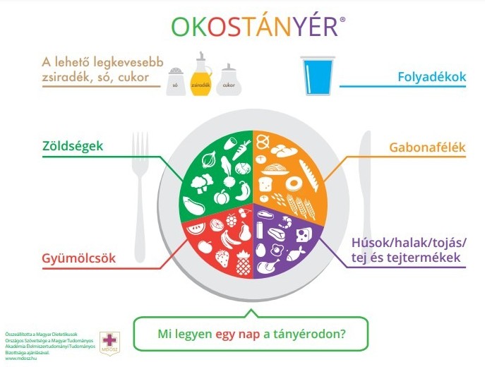 Okostányér 1.