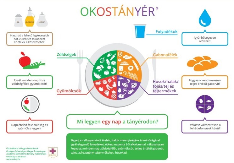 Okostányér 2.